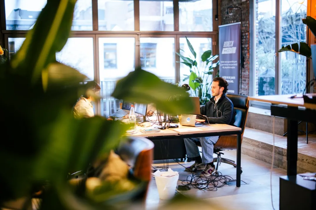Working by the windows at the Stigo office